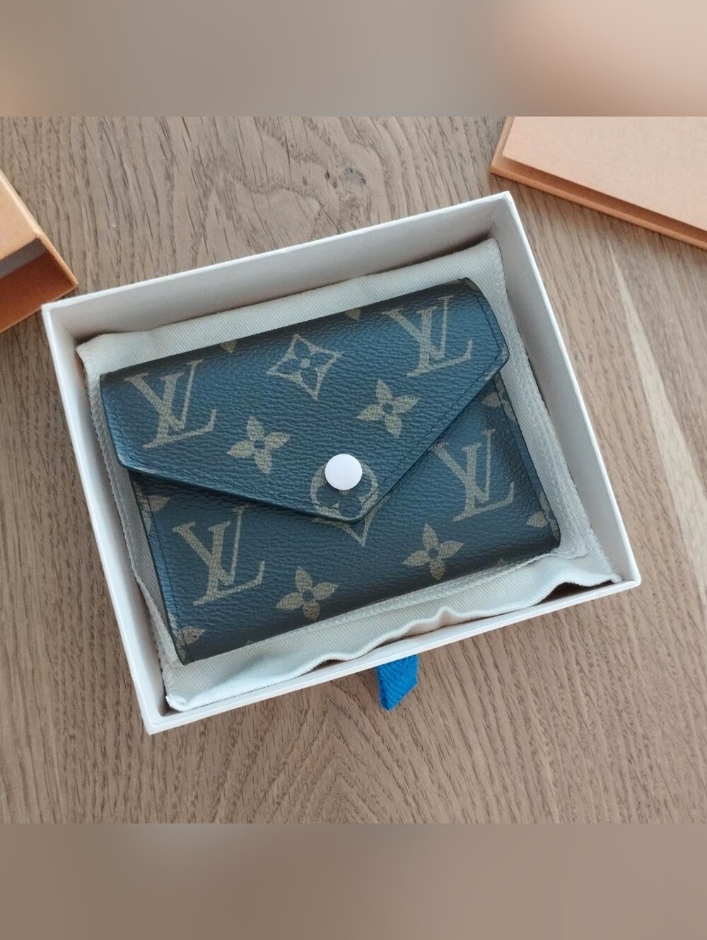 Louis Vuitton Monogram Canvas Envelope Wallet in Brown